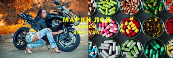 прущая мука Гусев