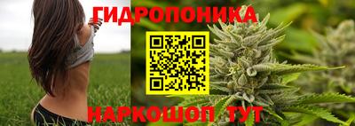 круглые Канаш