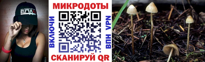 как найти закладки  OMG маркетплейс  Галлюциногенные грибы Psilocybine cubensis  Балтийск 