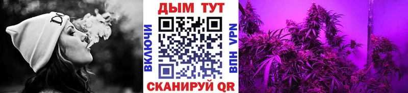 Конопля ГИДРОПОН  закладки  Балтийск 